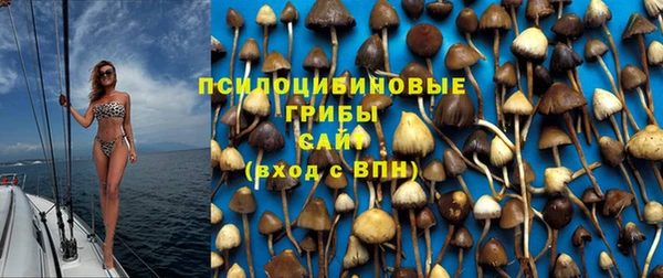MDMA Богданович