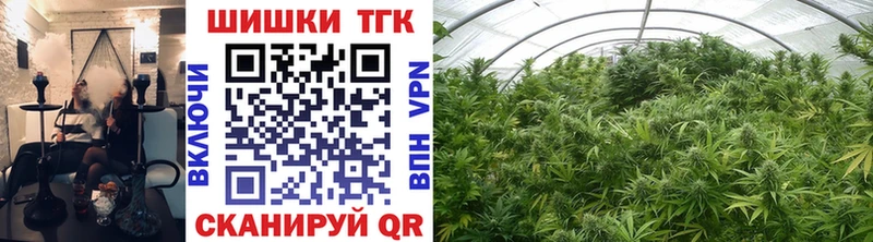 Бошки марихуана THC 21%  Михайловск 